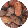 Fève de Cacao Entières