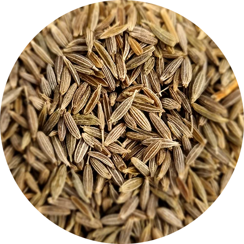 CUMIN GRAINES